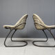 Vintage Pascale dining chairs by Gastone Rinaldi for Rima, 1970s