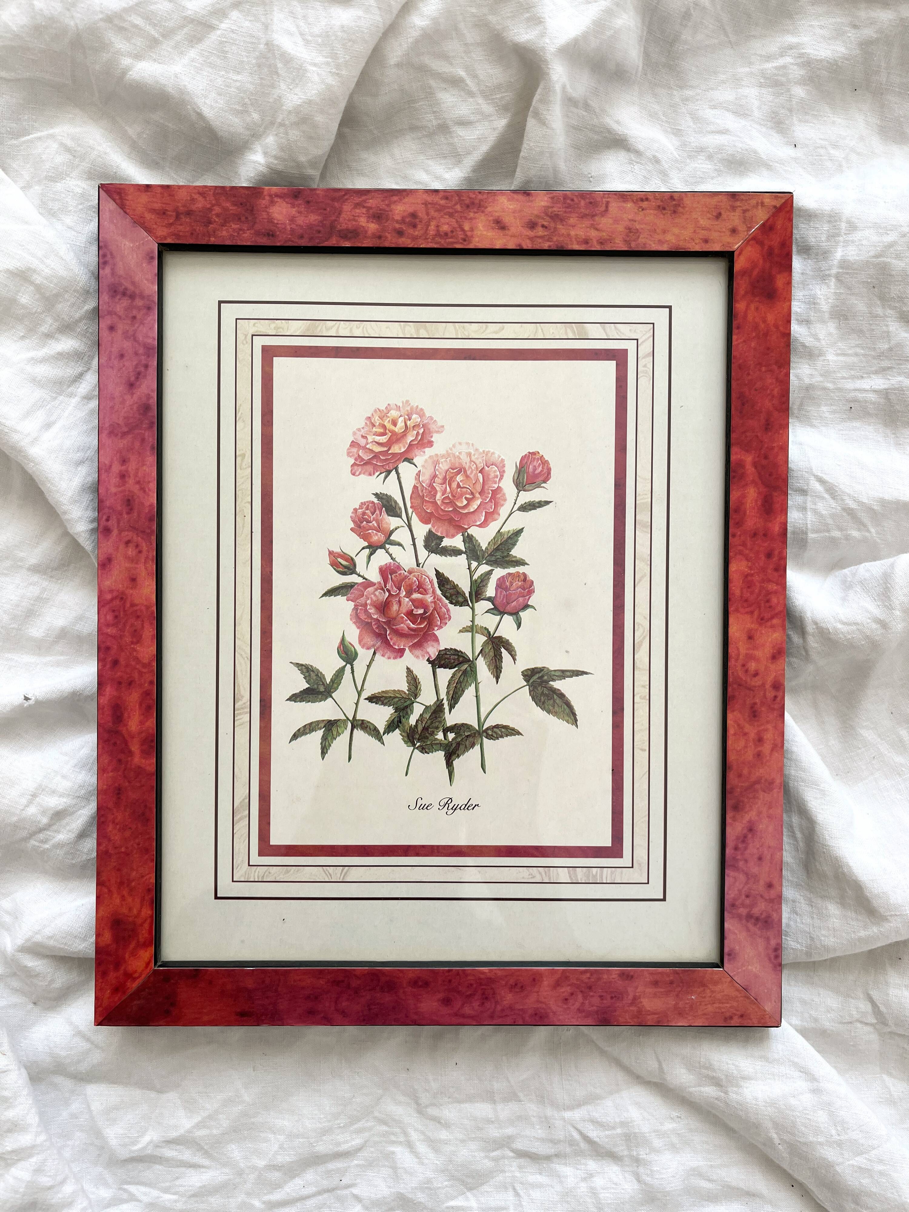 Vintage botanical lithograph