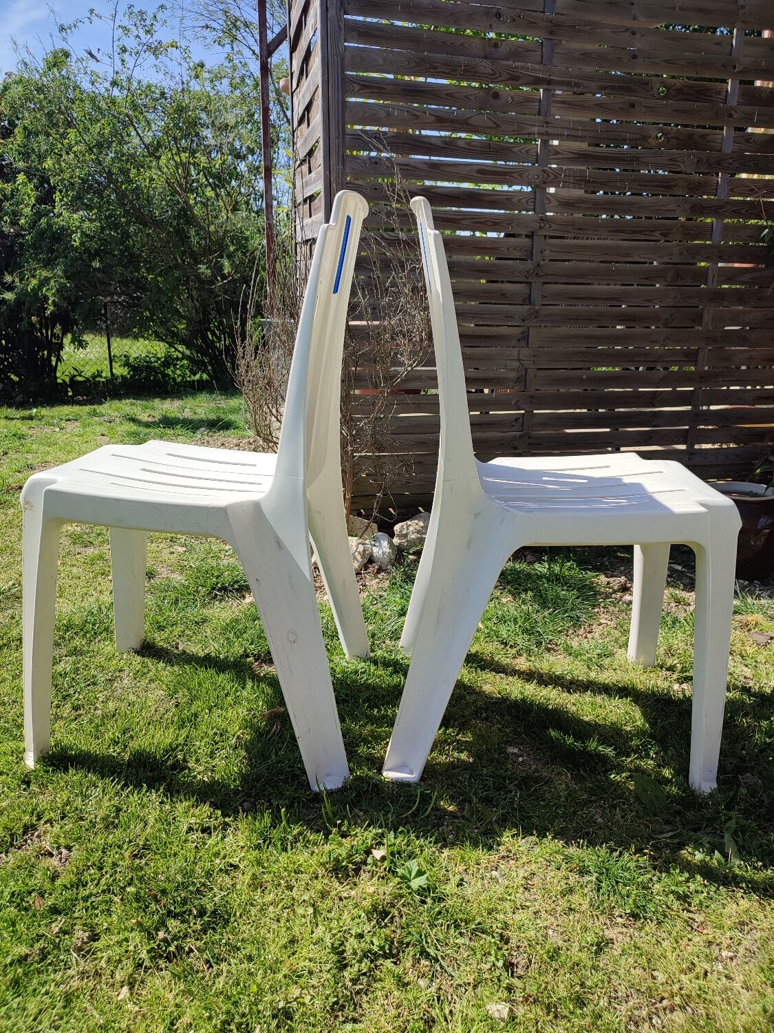Samba model chairs by Henry Sassonet
