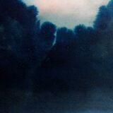 Ink landscape Between dog and wolf 9