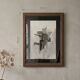 Original work on paper framed, signed Eugène Eechaut, created in ink in 1973.