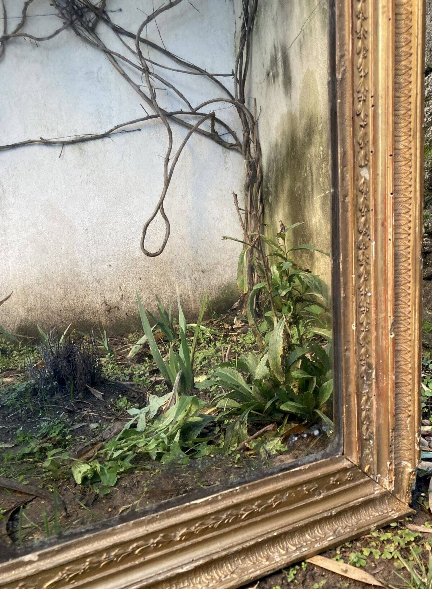 Antique overmantel mirror - decoration of palmettes and water leaves