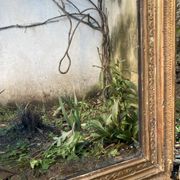 Antique overmantel mirror - decoration of palmettes and water leaves