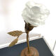 Lamp tulip flower brass glass vintage design old light