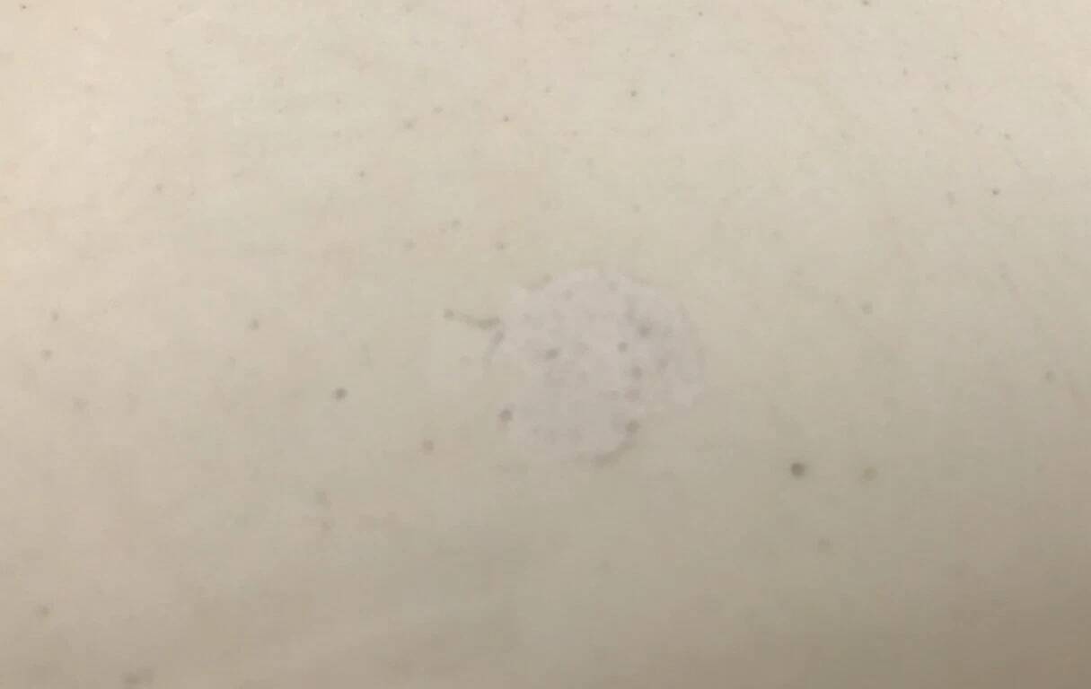 Service plate Faïence R&A (Rigale and Ameline) Salins Model Récamier