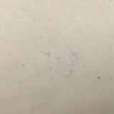 Service plate Faïence R&A (Rigale and Ameline) Salins Model Récamier