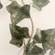 Pair of ivy wall lights