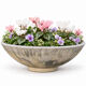 Large antique cement planter