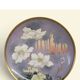 Decorative porcelain plate