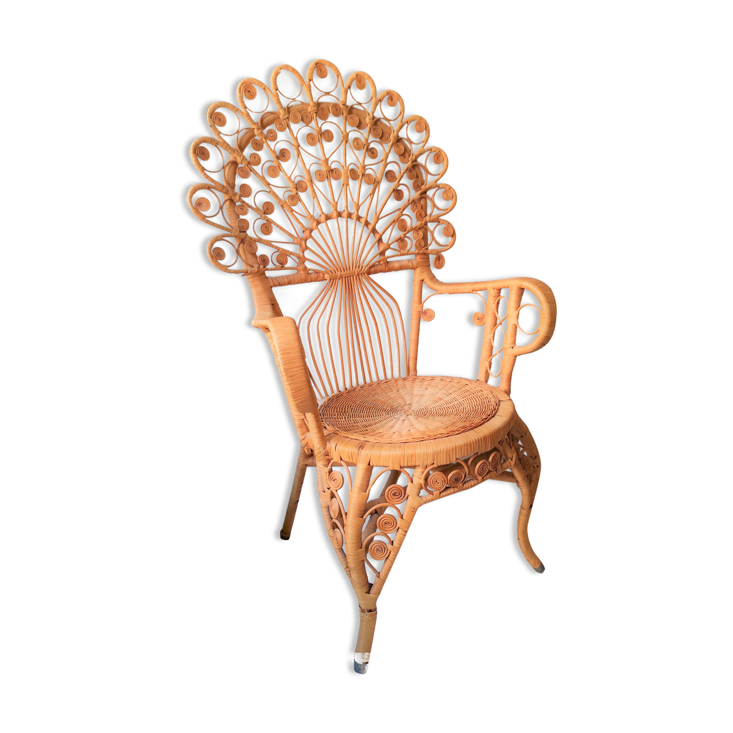 Peacock Chair