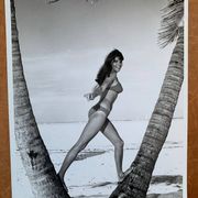 Film photography PIN UP 50's-Original-Bernard of Hollywood
