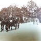 Old photograph 1900 stagecoach, horses and coachman State Railways