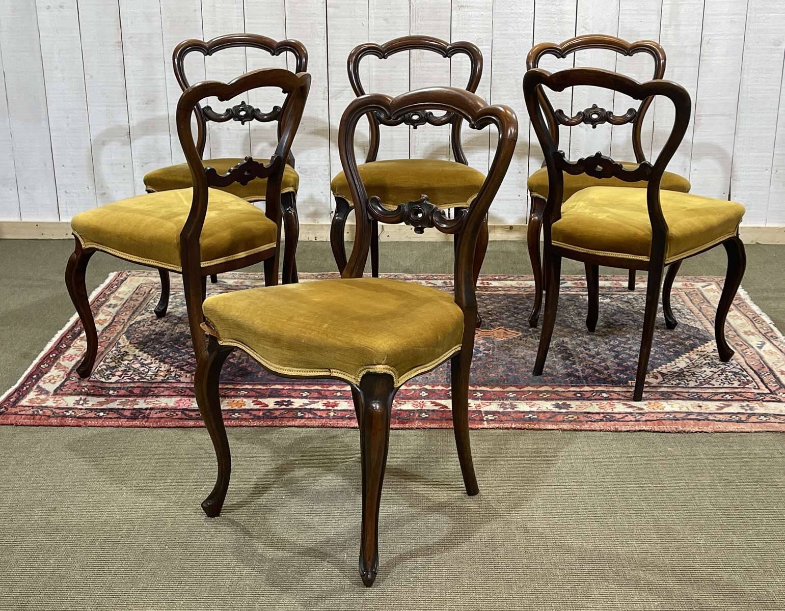 Set of 6 19th century English chairs in walnut