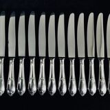 12 ercuis home table knives