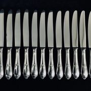 12 ercuis home table knives