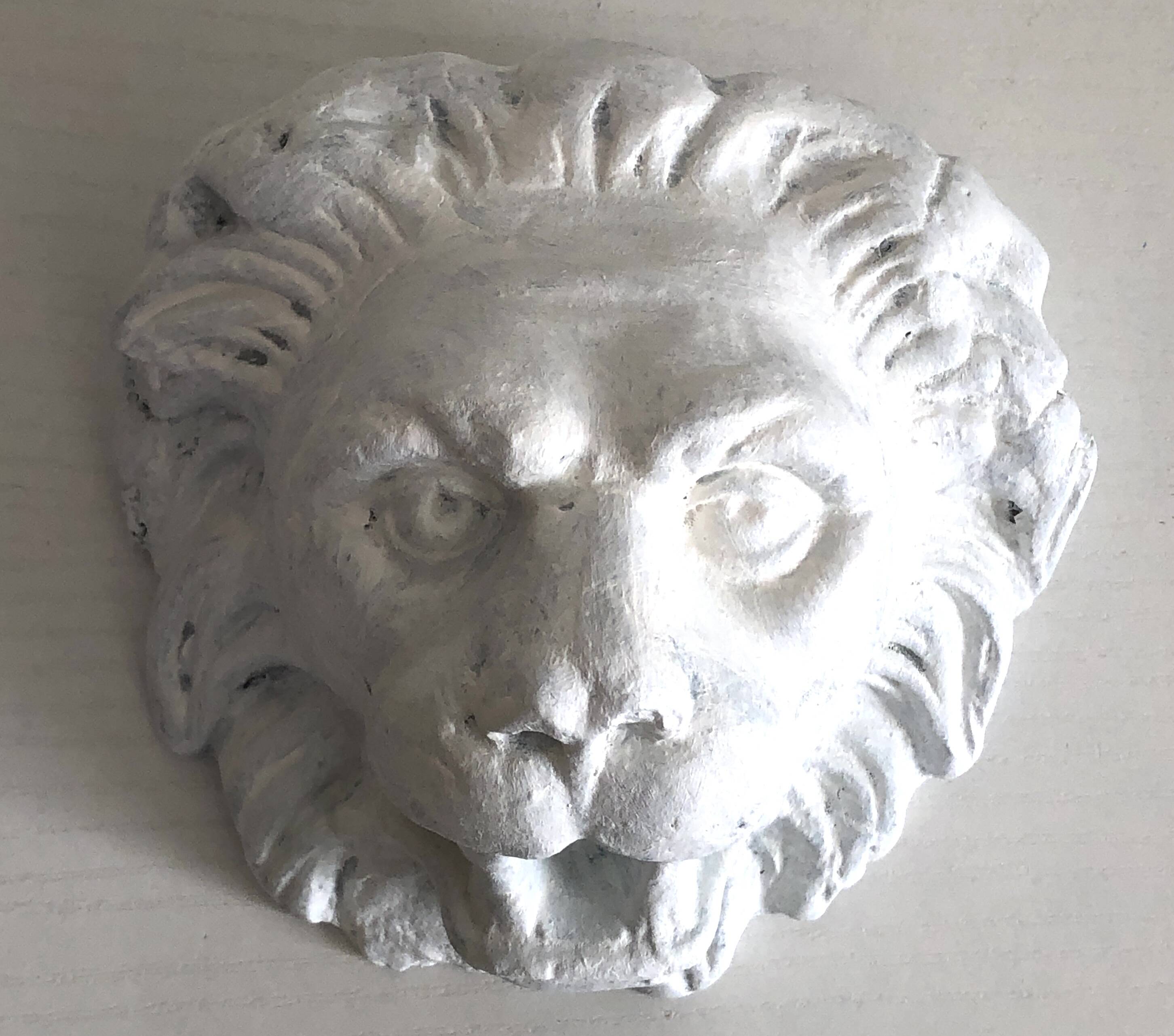 Lion head