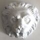 Lion head