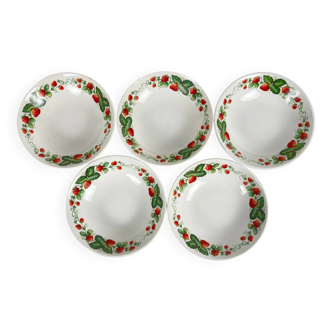 5 "Strawberry" ceramic bowls/dishes