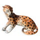 Royal Cheetah Dux
