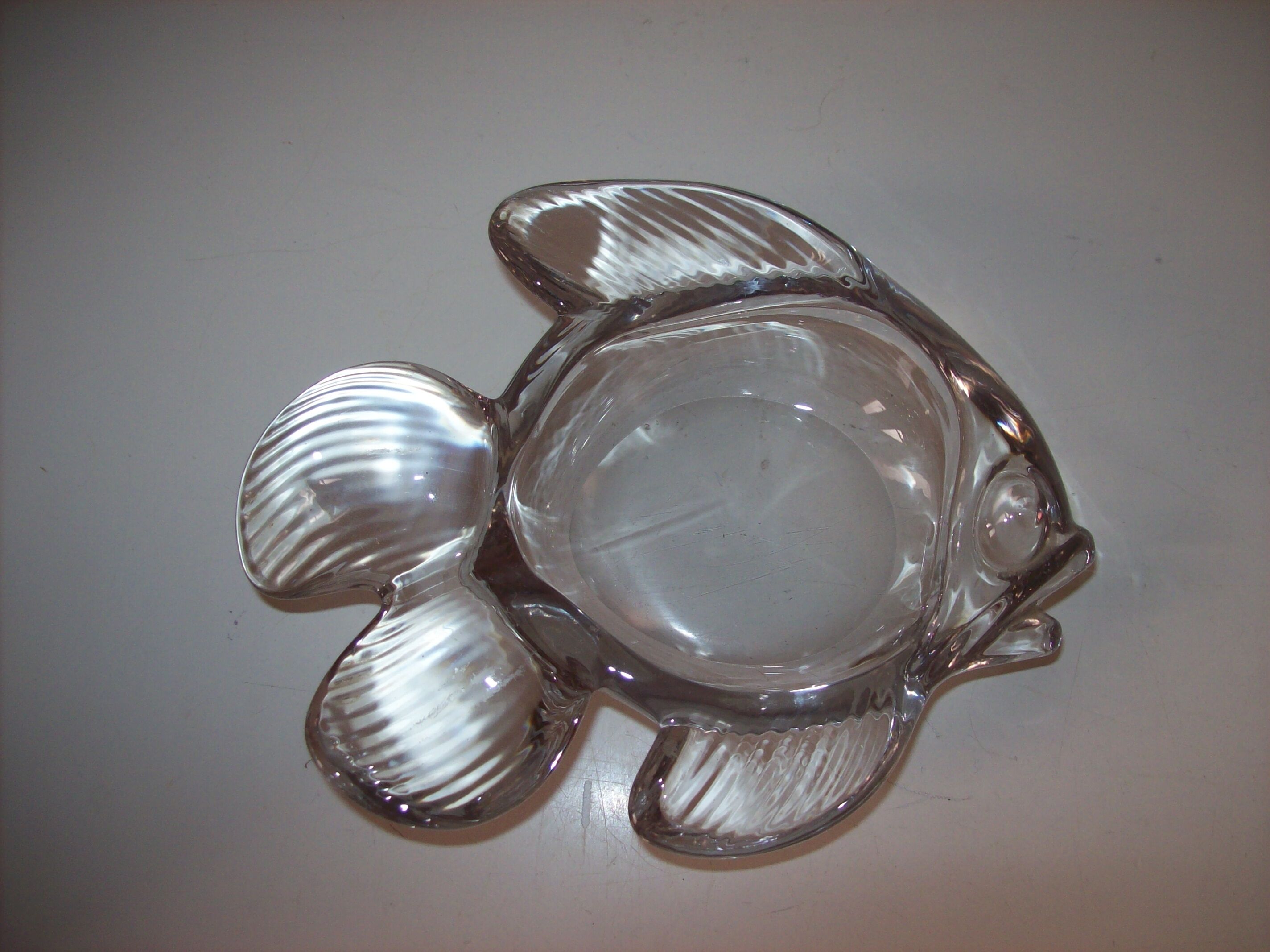 Empty glass fish bag