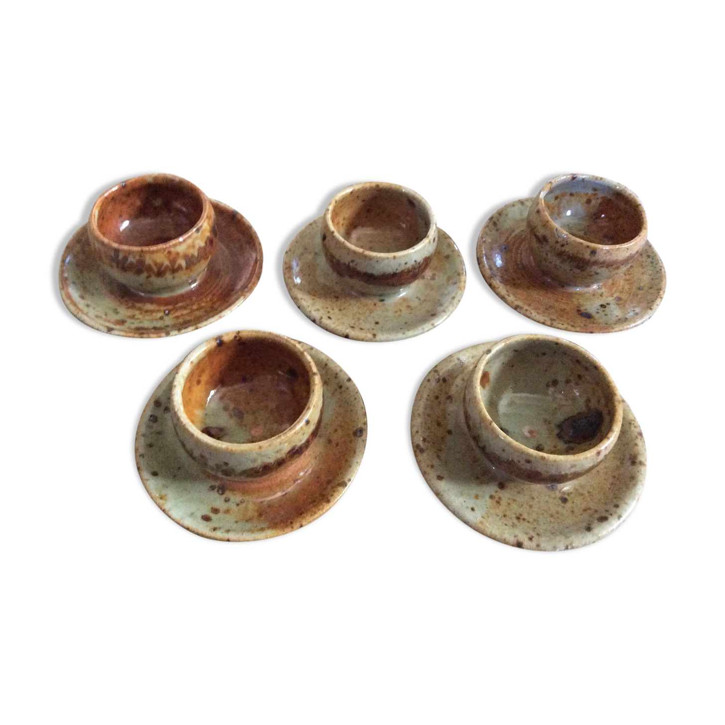 Series of 5 cockroaches