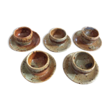 Series of 5 cockroaches