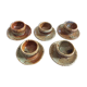 Series of 5 cockroaches