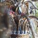Lustre a pampilles