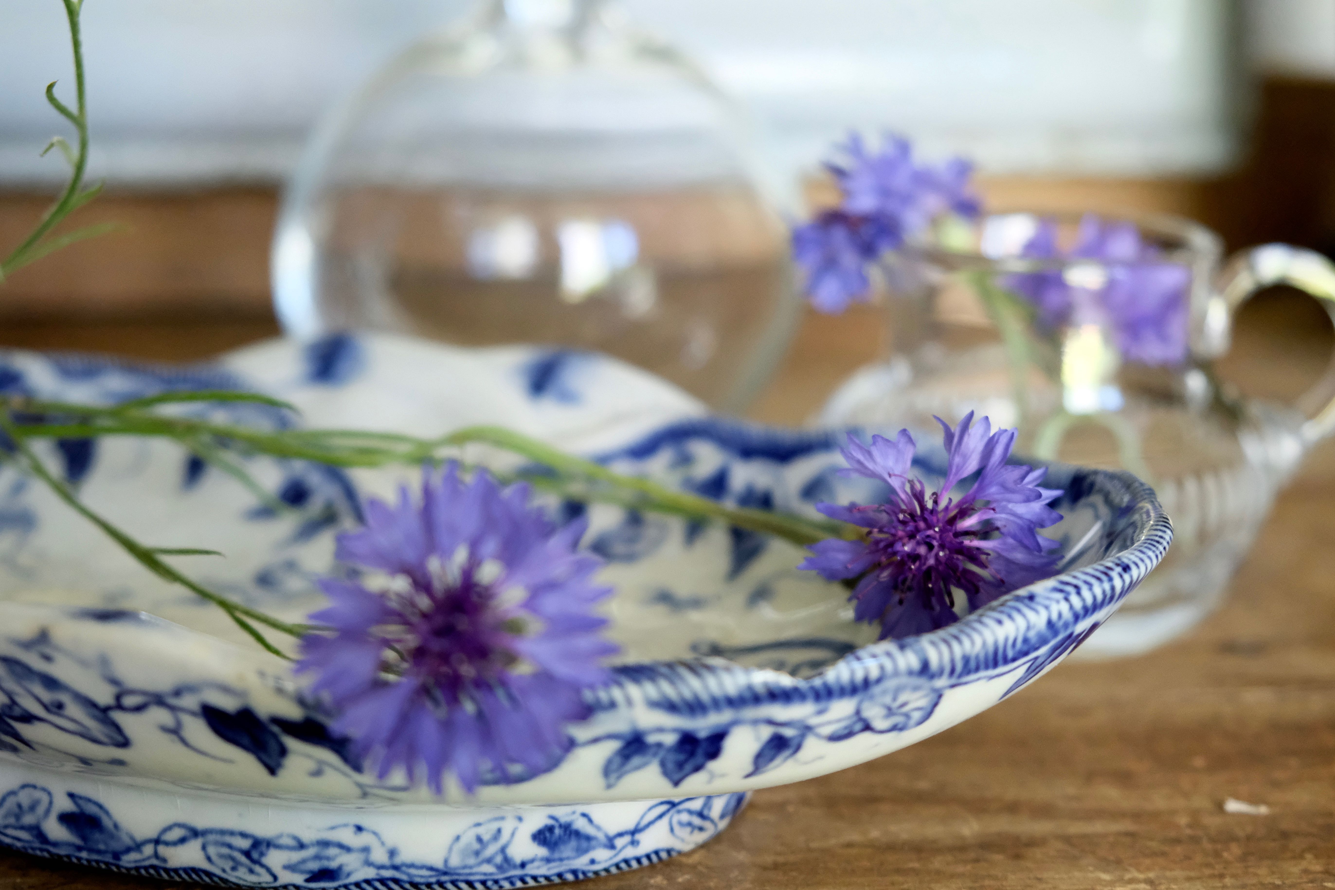 Ravier in porcelain, Ironstone, model Flora, Creil & Montereau XIXth