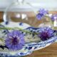 Ravier in porcelain, Ironstone, model Flora, Creil & Montereau XIXth