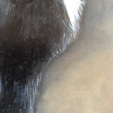 Portrait of cat painting on canvas