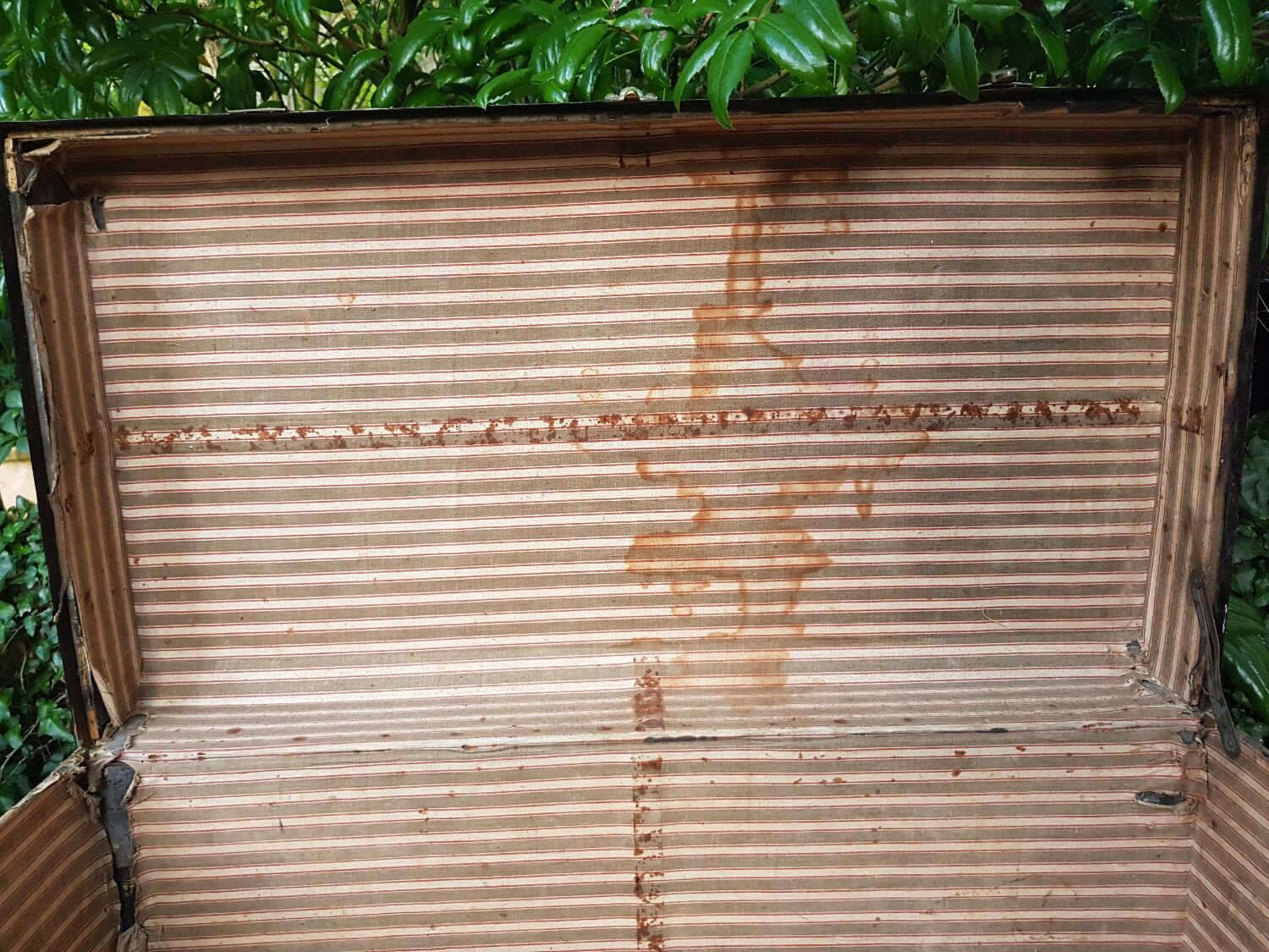 Old trunk "Lavolaille"