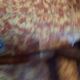 Vintage bistro chair