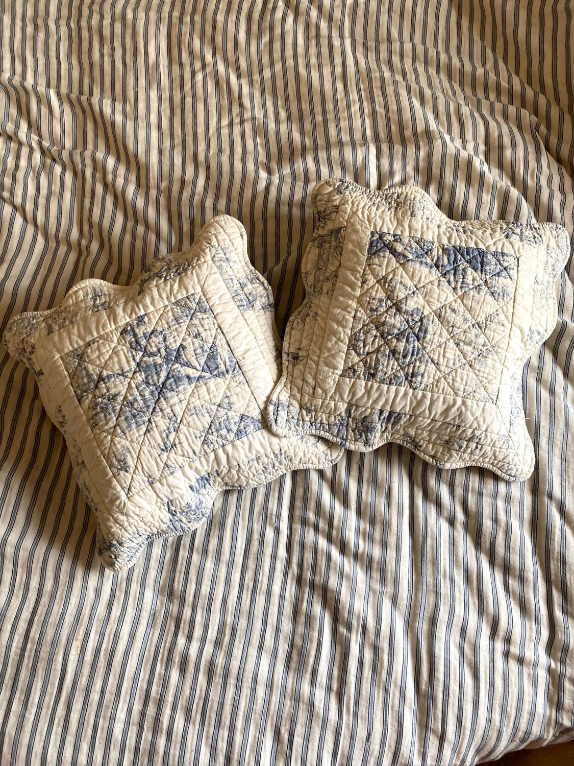 Paire de housses de coussin en coton en toile de Jouy