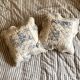 Pair of cotton cushion covers in Toile de Jouy print