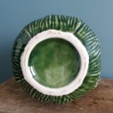 Cabbage pitcher in slip