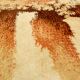 1970's Design Carpet Pure Wool Velvet, "Amazone" Belgium, 2m x 2.90m, Very Good Condition