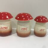 Mushroom spice jars
