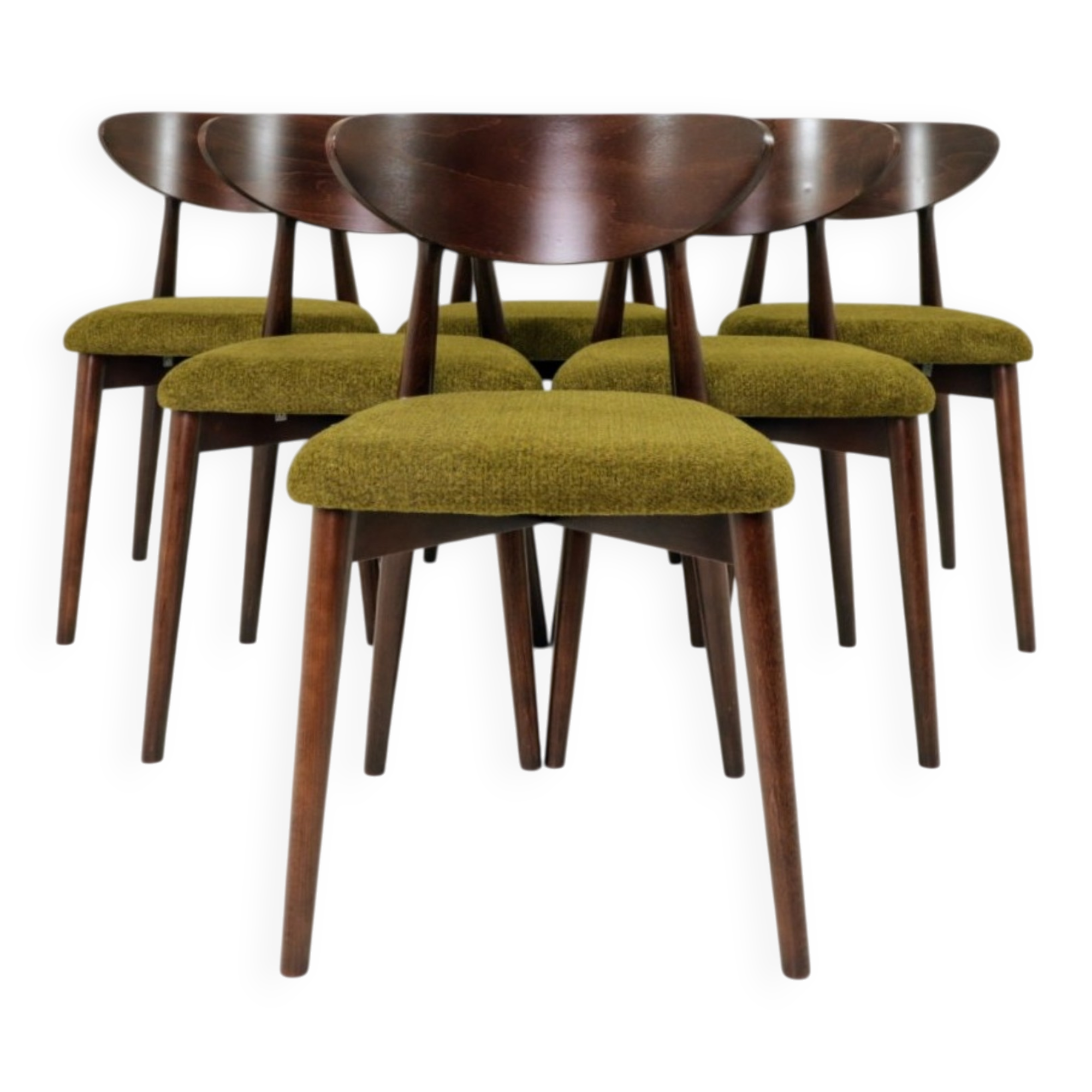 Chaises de salle à manger moderne design vert sauvage