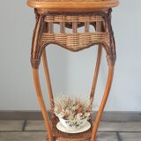 Rattan plant holder