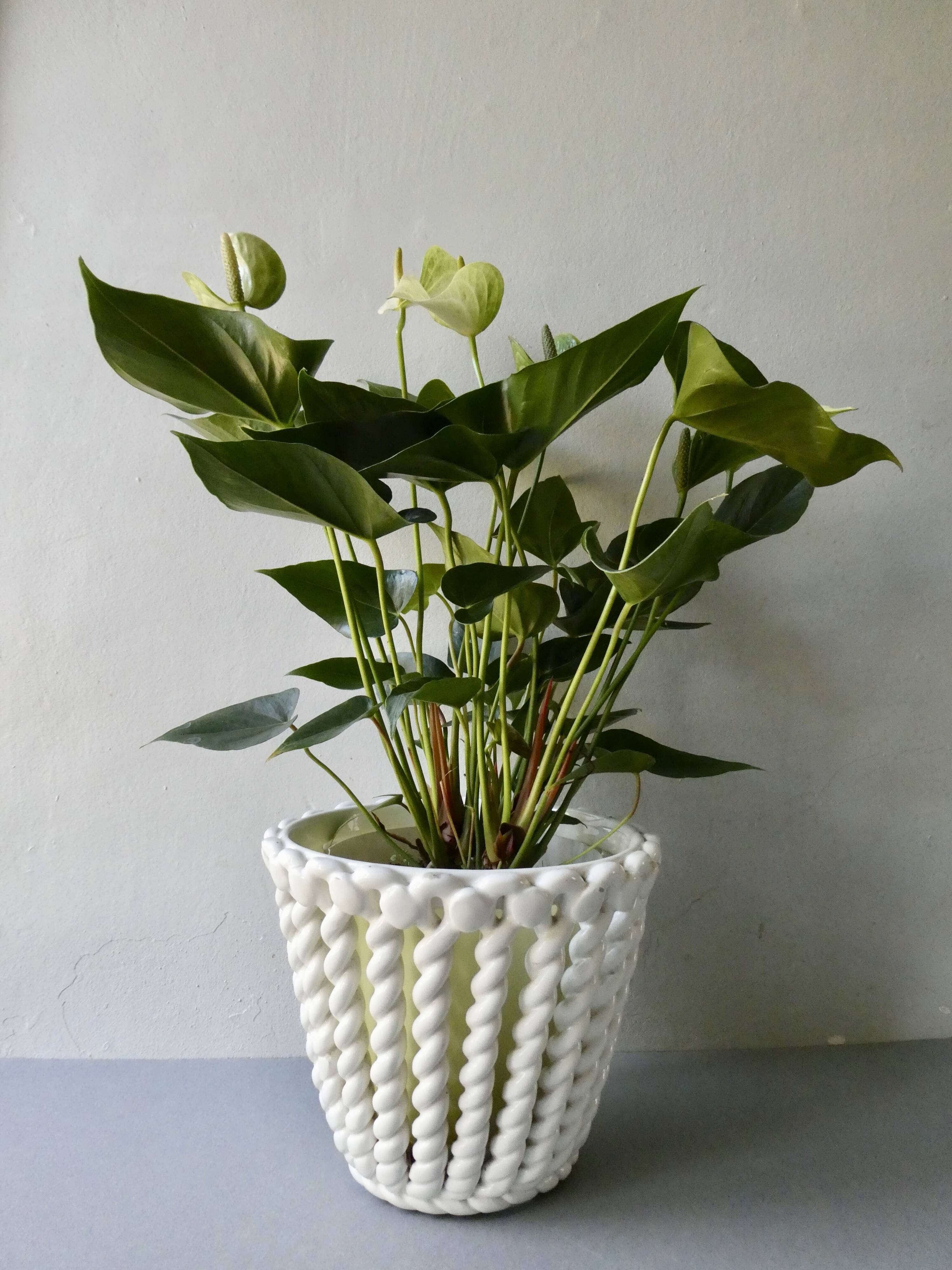 Openwork and braided ceramic pot cover