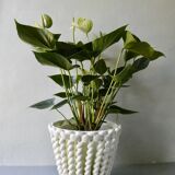 Openwork and braided ceramic pot cover