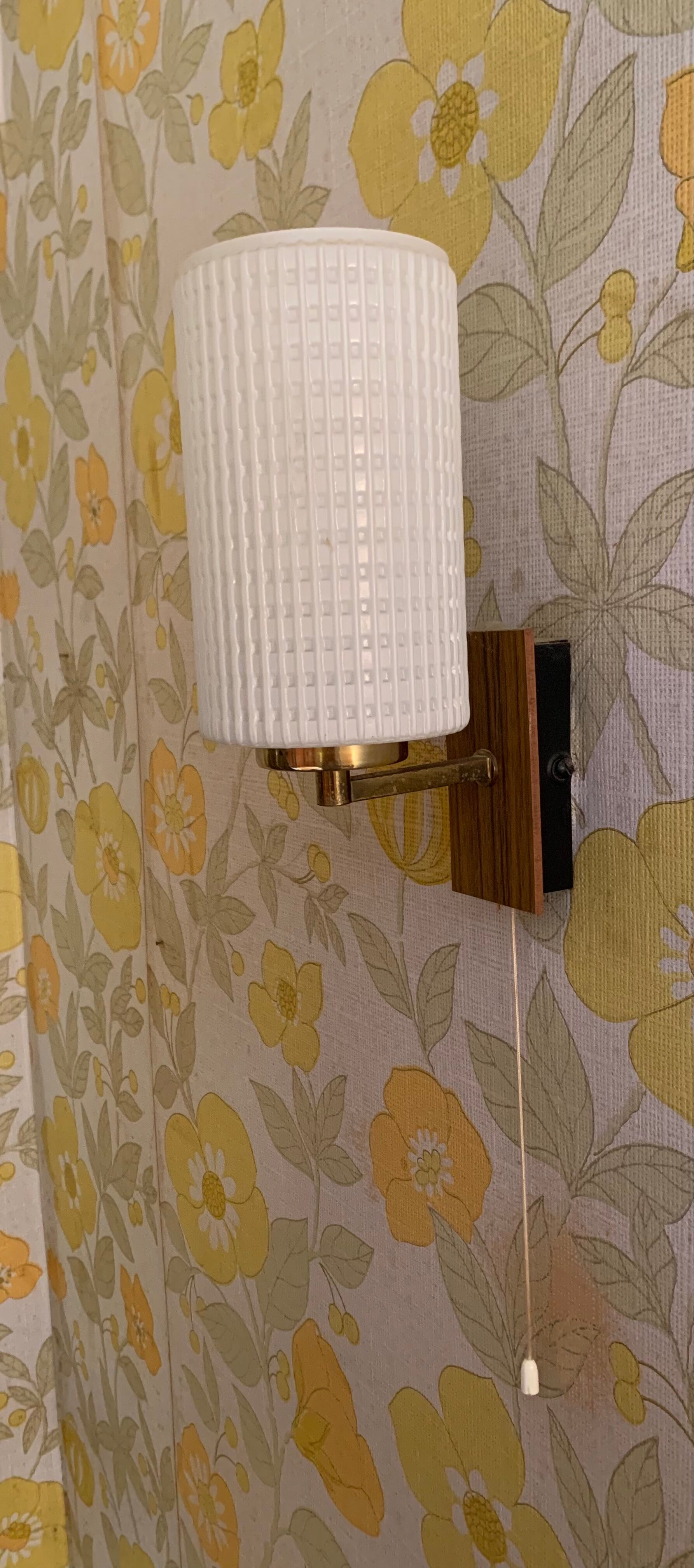 Pair of vintage sconces, opaline, brass and teak
