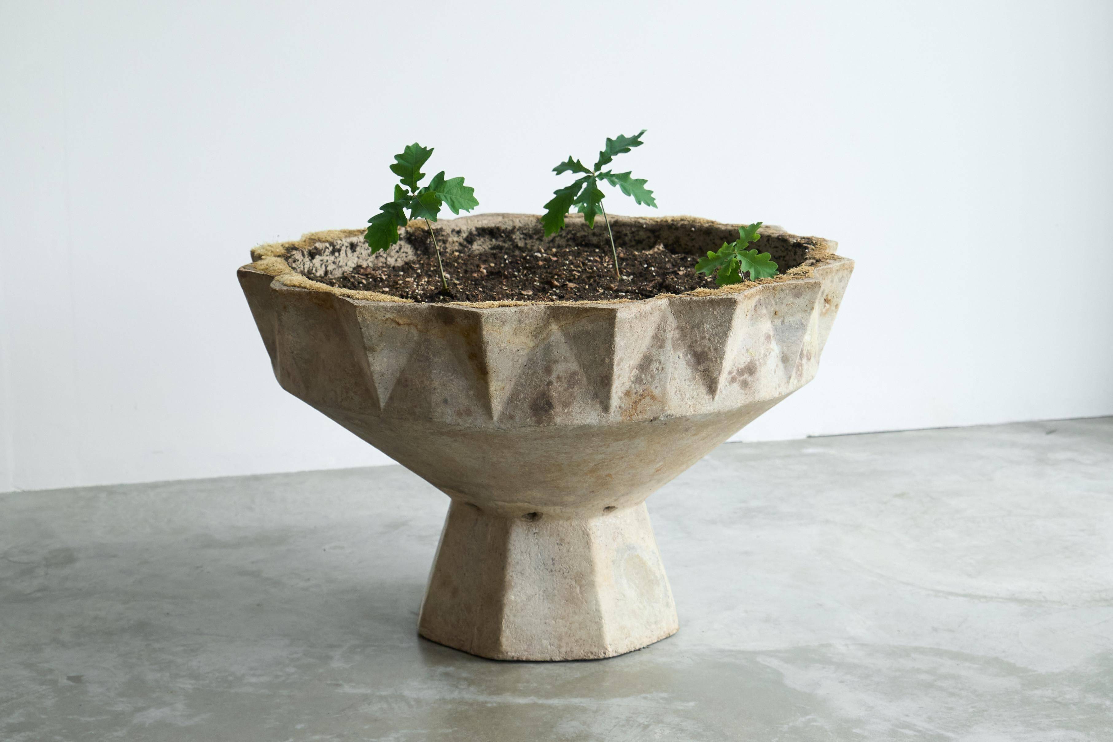 Willy Guhl monumental concrete chalice from the 1960s.