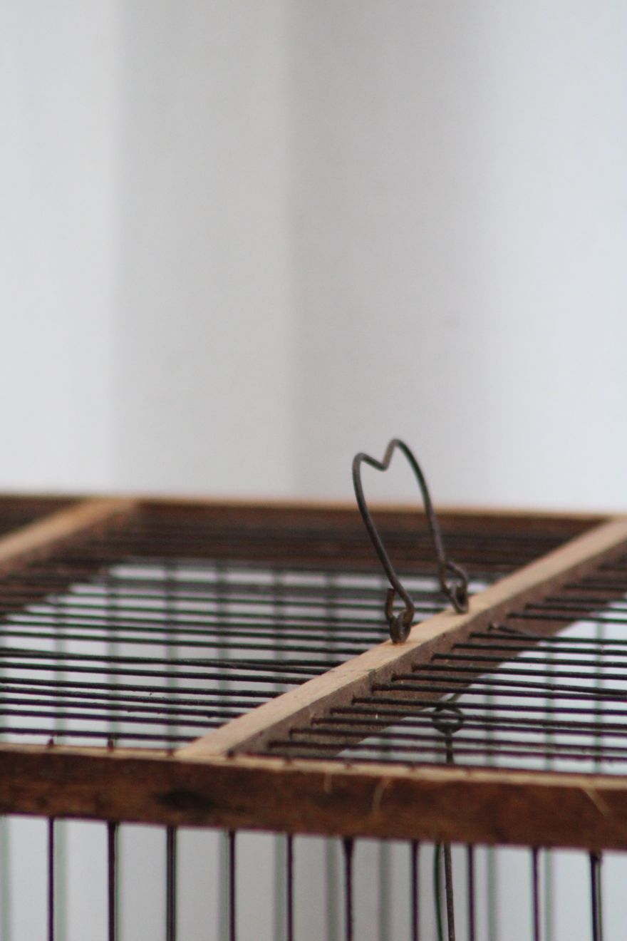 Old wooden bird cage