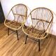 Adult rattan armchairs