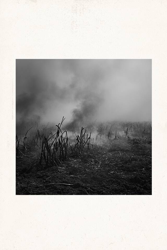 Tirage photographique numeroté par Antonin Ward