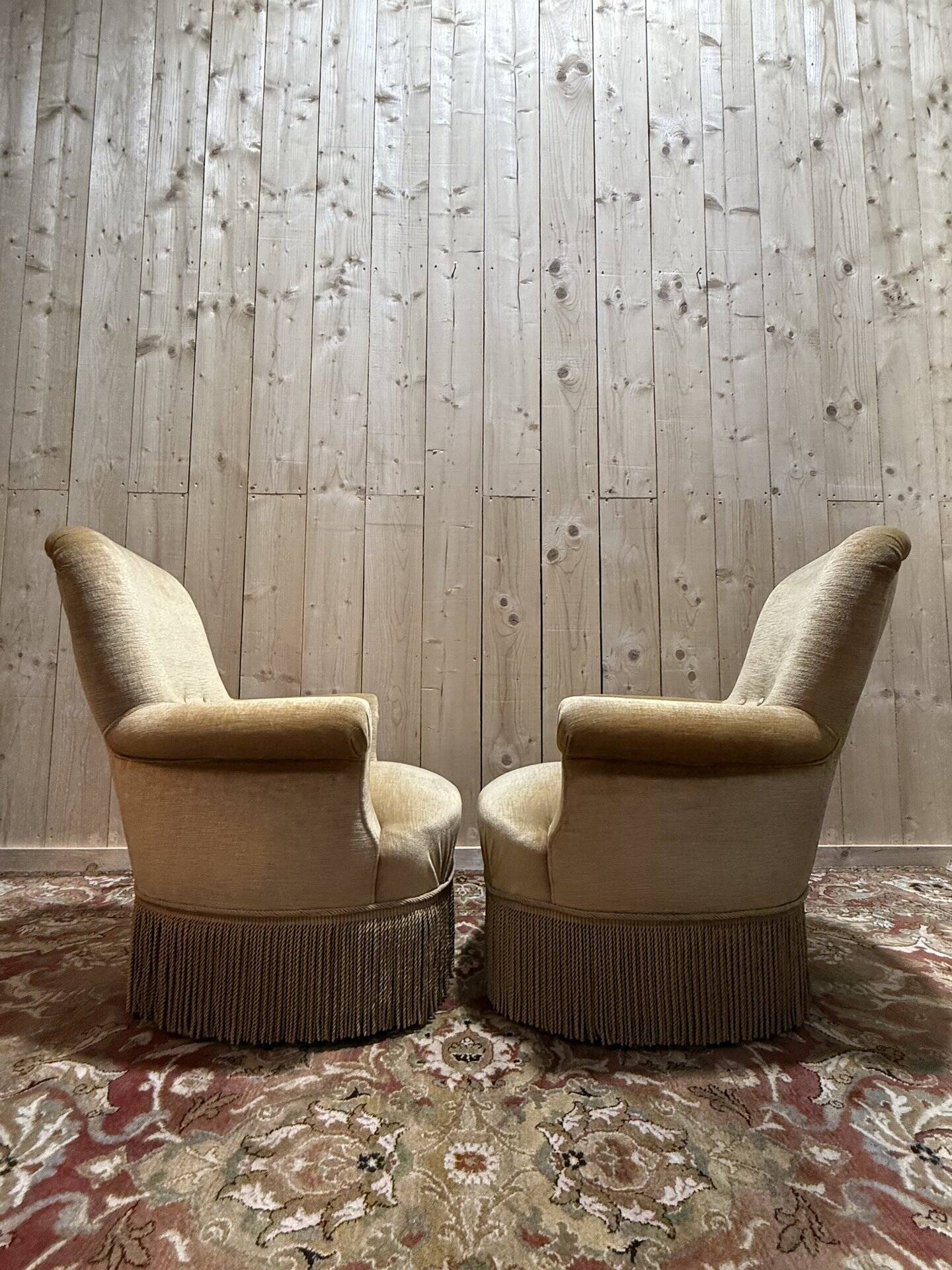 Pair of English-style armchairs in yellow velvet