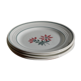 Set of 4 Céranord flat plates