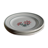 Set of 4 Céranord flat plates